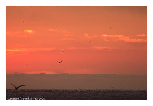 ocean california sunset sky bird water silhouette clouds landscape unitedstates gull flight event mosslanding