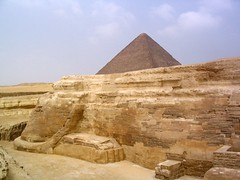 Hind-quarters of the Sphinx