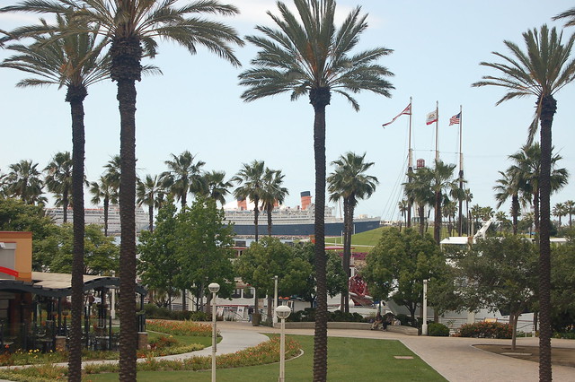 View Of Queen Mary Through Palm Trees