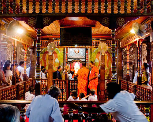 orange colour canon tooth religious temple worship robe buddha buddhist monk srilanka kandy saffron relic disciple