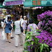 Flower Market, Mong Kok HK