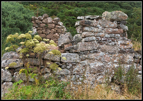uk building stone coast scotland highlands village politics ruin walls clearances badbea