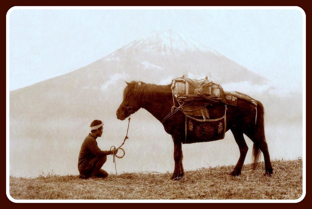 JAPANESE PACK-HORSE REFUSES TO BUDGE -- Ruins a Perfectly Good Shot of Mt. Fuji