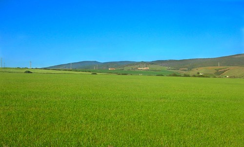 sardegna verde green landscape geotagged sardinia fields paesaggio campi mywinners theunforgettablepictures provinciadioristano theperfectphotographer geo:lat=40044963 geo:lon=8509598