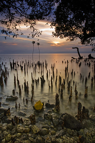 seascape sunrise mangrove mindanao canon1022 gensan canon30d saranganibay hcpphotogs soccsksargen