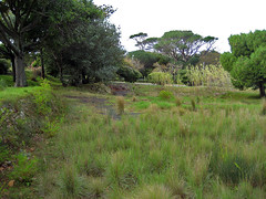 Abandoned Rhodes Zoo - Open area