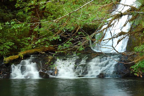 oregon waterfall coastrange greenpeakfalls alseafallsrecreationarea