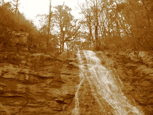 fall nature sepia virginia hiking foliage shenandoah appalachians shenandoahnationalpark whiteoakfalls