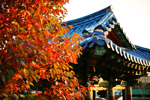 autumn fall sunrise temple asia korea 5d southkorea suwon 수원 한국 autumnlight ef50mmf14usm canoneos5d eos5d