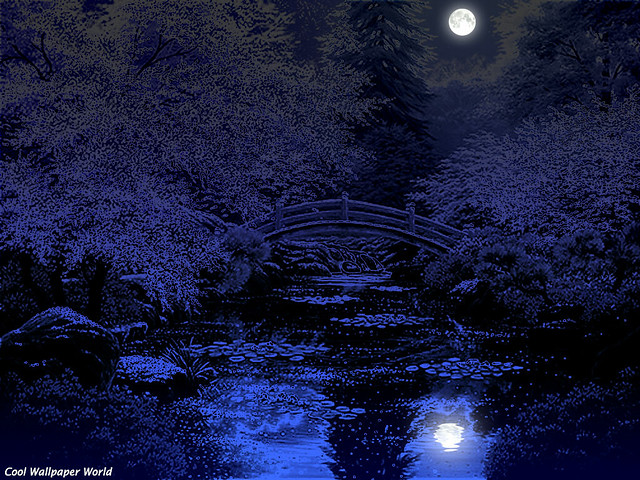 Japanese garden at night | Flickr - Photo Sharing!
