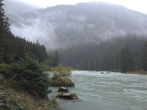 trees mountain tree robert water fog alaska river highway rocks haines kramer chilkat