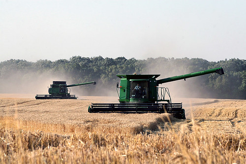 minnesota farm wheat grain harvest combine canon30d normancounty garymn uploadedviaatinytinytrickleofawirelessblackberryconnection