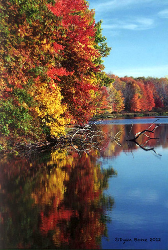 autumn lake water leaves landscape fallcolors