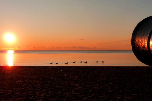 park morning sun lake toronto ontario canada beach sunrise waterfoul calm panasonic cannon etobicoke canadiangeese romanticism oquinn mariecurtis mynewcamerarocks lumixtz5