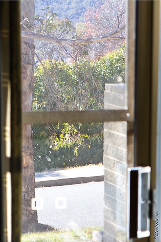 door window gum bush view australia screen nsw eucalyptus jindabyne ursulasweeklywanders