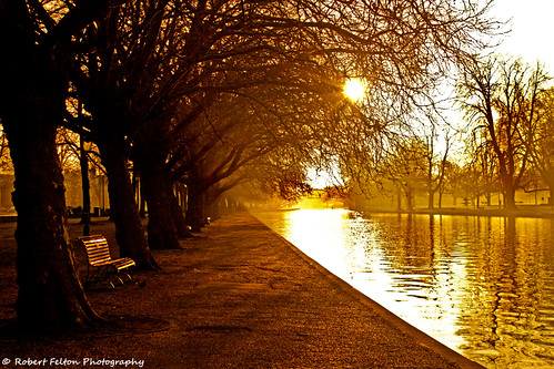trees sun tree sunrise river bench bedford dawn twilight seat bedfordshire felton robertfelton theembankment thegreatouse