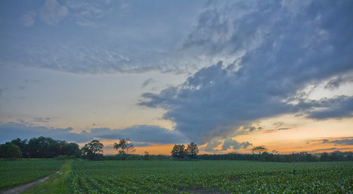 blue trees sunset sky orange green digital canon geotagged eos rebel corn dusk farm xti 400d giltennant