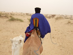 Timbuctu 08 trip-91 Mohamed on his camel
