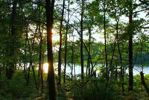 trees sunset sun reflection photography waterfall pennsylvania sony reservoir pa series 300 alpha dslr 2008 spillway dunmore a300 α dslra300 α300 dslra300k αlpha dslrα300 dslrα300k