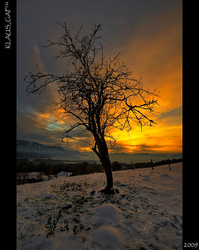 sunset sky snow tree geotagged warm hdr garmischpartenkirchen murnau photomatix