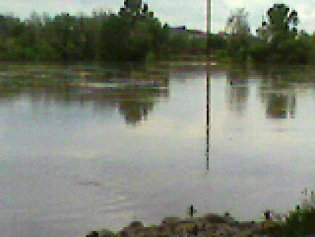 water river flood kansas kansasriver edwardsville