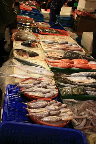 geotagged ilan fishmarket 南方澳 geo:tool=yuancc canoneoskissx2 geo:lat=24581646 geo:lon=121869702