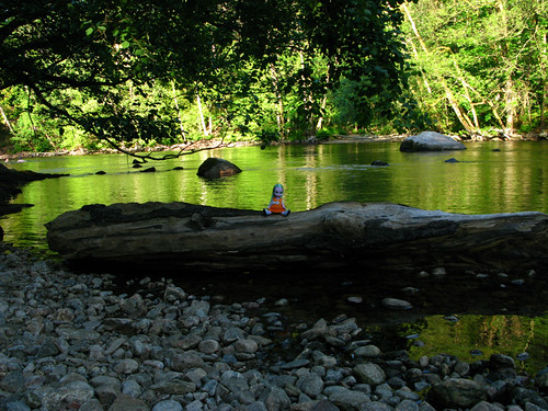 river log doll naturereserve straighthair 1972 funnybunny säveån emeraldwitch stenkullen 20080604