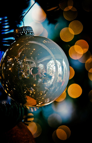 christmas xmas light holiday selfportrait reflection tree bulb bokeh michigan decoration ornament photowalk grandrapids 2008 frederickmeijergardens powerbooktrance hangingwithterry
