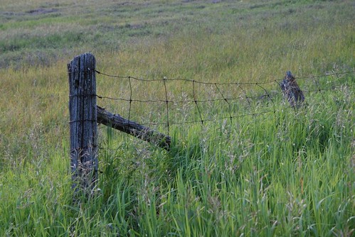 ontario canada green field fence farm lanarkcounty landscapesofvillagesandfields
