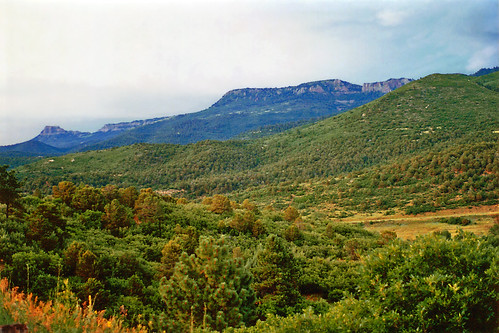 trees usa mountains forest landscape scenery colorado unitedstates meadows valley shrubs mesa