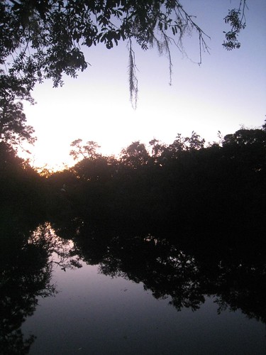 trees sunset reflection water canal groveland yenykcswedding