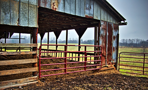 field fog barn nc gate farm country rustic northcarolina overcast dreary pasture hdr thurmond 5xp