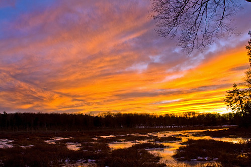 blue winter sunset orange newyork colors yellow gold purple swamp catskills sackettlake