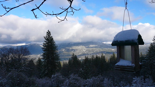 california christmas trees winter white mountain snow cold fun view sierra fresno snowing 2008 centralcalifornia holidayauberry