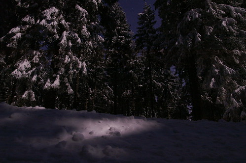 schnee winter snow night forest nacht wald schneckenstein