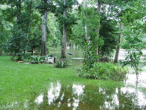 fall water backyard flood florida tallahassee