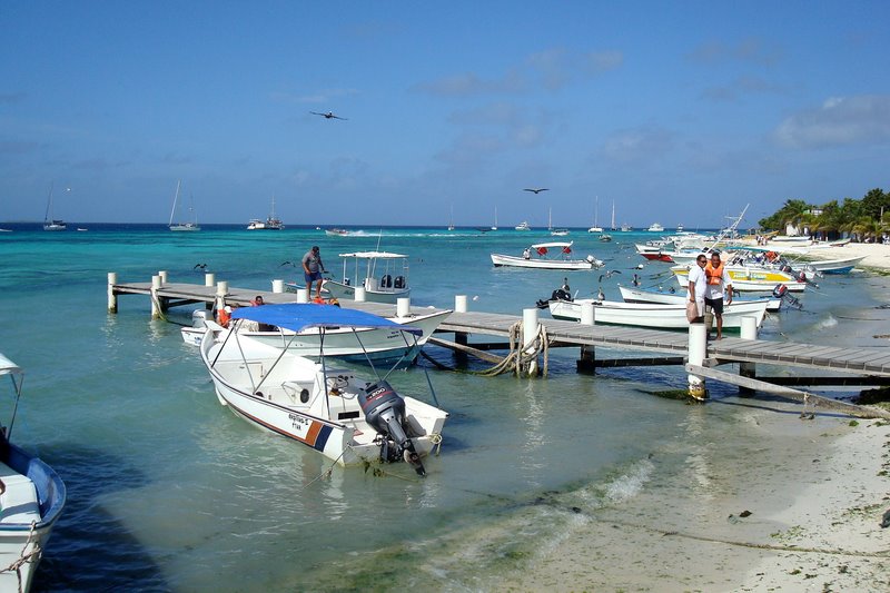 Archipelago Los Roques Is Home To Diverse Sea Life