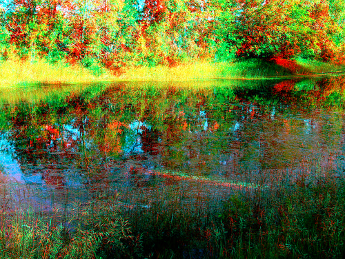 lake plant reflection tree stereoscopic stereophoto 3d spring anaglyph anaglyphs redcyan 3dimages 3dphoto 3dphotos 3dpictures stereopicture