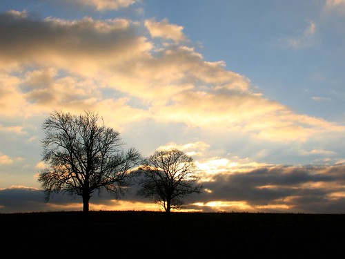 blue sunset sky cloud tree field silhouette