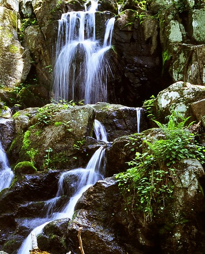 film geotagged virginia waterfall nationalpark appalachia blueridgemountains filmscan appalachianmountains shenandoahnationalpark doyleriver upperdoylefalls
