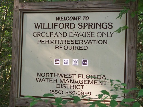 willifordspring