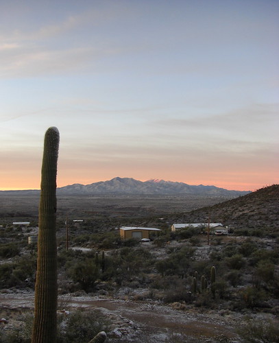 arizona cactus mountain snow sunrise tucson