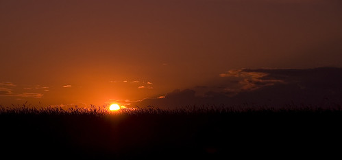 sunset summer sun nederland thenetherlands groningen terapel westerwolde terhaar