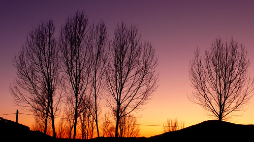 trees winter sunset day arboles branches clear leon invierno puestadesol naranja ocaso bierzo ramas fabero purpura