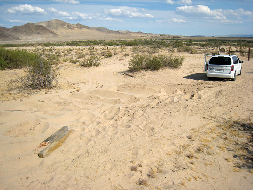 sand desert oops may272008