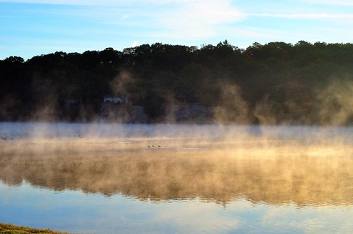 lake fog landscape d90 lakeshawnee capturenx2
