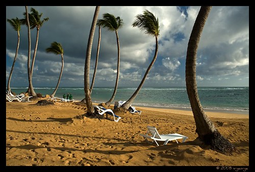 ocean trees sky colour beach water clouds landscape dawn sand pattern chairs dominicanrepublic shoreline 100v10f palmtree colourful picnik d80 mywinners brilliant~eye~jewel