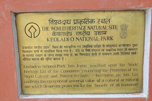general rajasthan bharatpur keoladeonationalpark june2008 geo:dir=2973 geo:lat=272035183333333 geo:lon=775067433333333