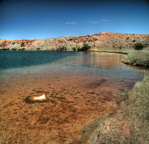 county newmexico water swimming geese agua desert hole wildlife roswell ducks oasis springs wetlands lea ccc nm joeldeluxe waterfowl saline hdr pavillion chaves refuge chihuahuan artesian bottomless reservoirs saltcedar bottomlesslakesstatepark