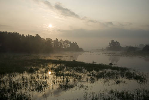 morning mist reflection water field fog sunrise dawn flood britishcolumbia 5050 langley fortlangley morningmist vob herecomestheflood kvdl